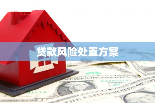 宾川贷款风险处置方案