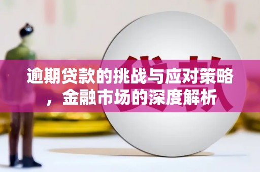 宾川逾期贷款的挑战与应对策略，金融市场的深度解析