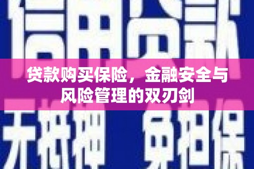 宾川贷款购买保险，金融安全与风险管理的双刃剑