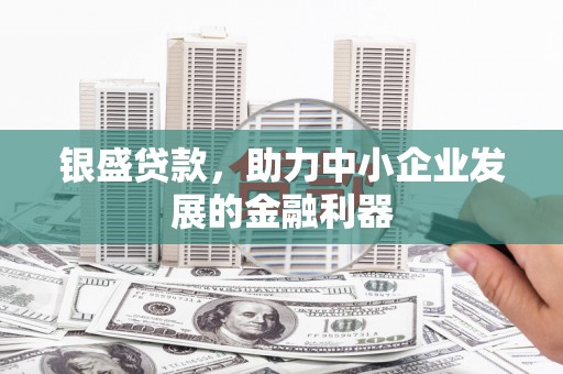 宾川银盛贷款，助力中小企业发展的金融利器