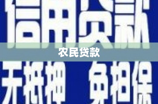宾川农民贷款