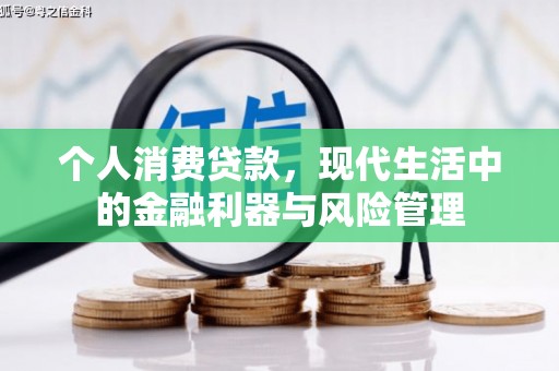 宾川个人消费贷款，现代生活中的金融利器与风险管理