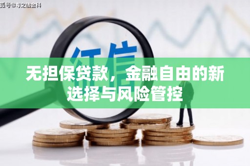 宾川无担保贷款，金融自由的新选择与风险管控