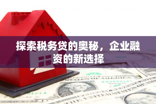 宾川探索税务贷的奥秘，企业融资的新选择