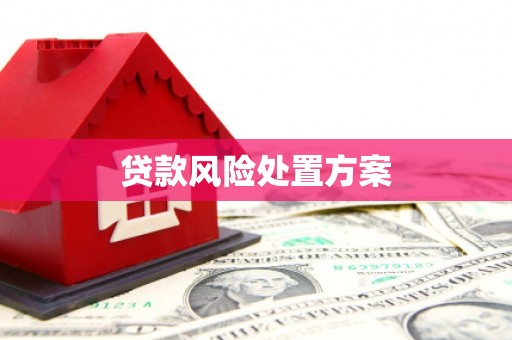 宾川贷款风险处置方案