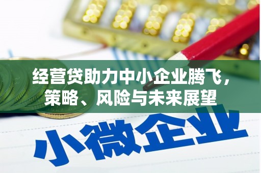 宾川经营贷助力中小企业腾飞，策略、风险与未来展望