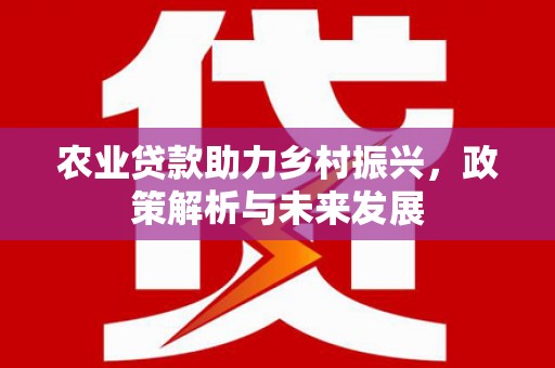 宾川农业贷款助力乡村振兴，政策解析与未来发展