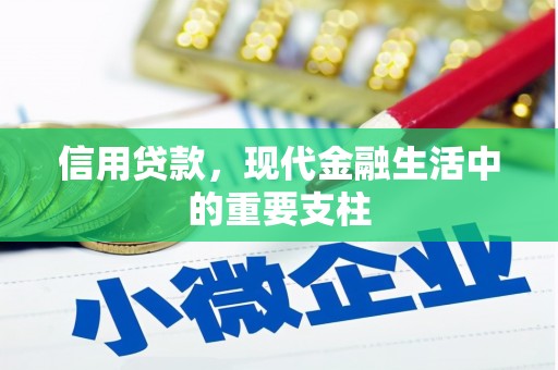 宾川信用贷款，现代金融生活中的重要支柱