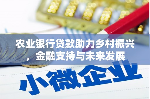 宾川农业银行贷款助力乡村振兴，金融支持与未来发展