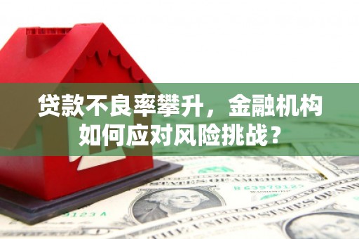 宾川贷款不良率攀升，金融机构如何应对风险挑战？