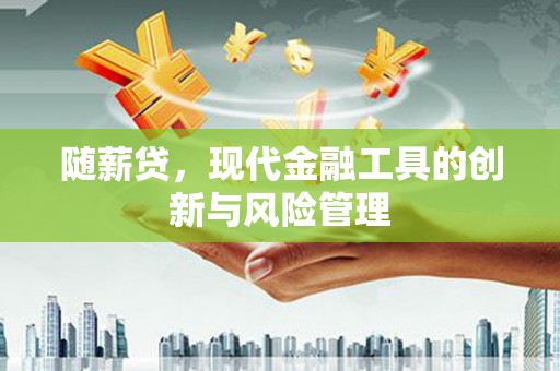 宾川随薪贷，现代金融工具的创新与风险管理