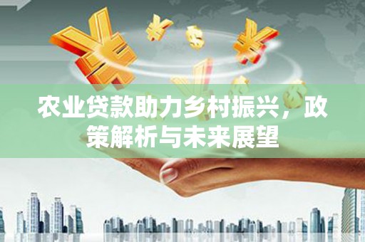 宾川农业贷款助力乡村振兴，政策解析与未来展望
