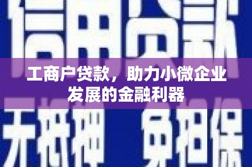 宾川工商户贷款，助力小微企业发展的金融利器