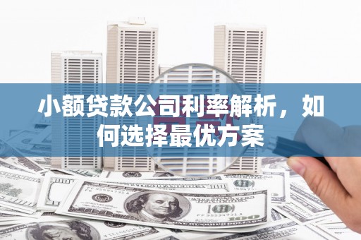 宾川小额贷款公司利率解析，如何选择最优方案