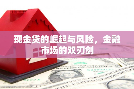 宾川现金贷的崛起与风险，金融市场的双刃剑