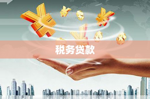 宾川税务贷款