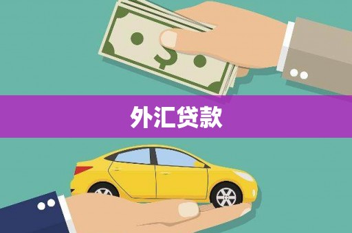 宾川外汇贷款
