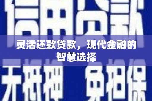 宾川灵活还款贷款，现代金融的智慧选择