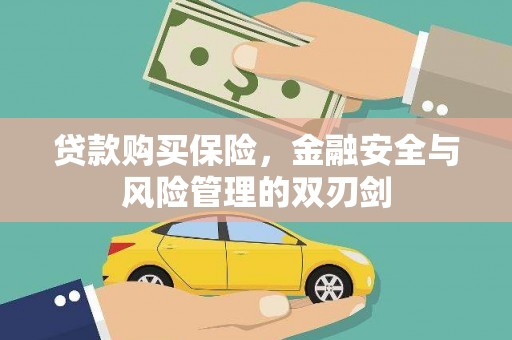 宾川贷款购买保险，金融安全与风险管理的双刃剑