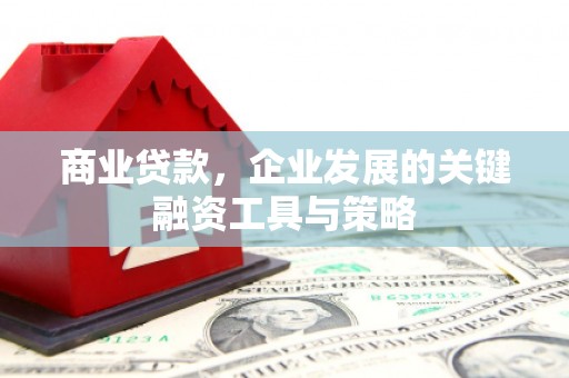 宾川商业贷款，企业发展的关键融资工具与策略
