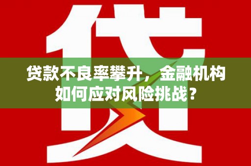 宾川贷款不良率攀升，金融机构如何应对风险挑战？