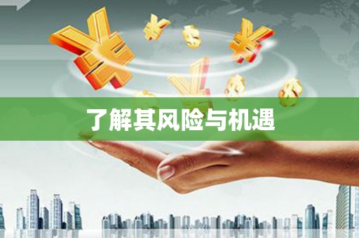 宾川了解其风险与机遇