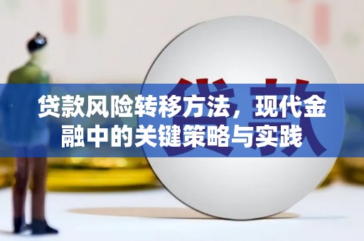宾川贷款风险转移方法，现代金融中的关键策略与实践