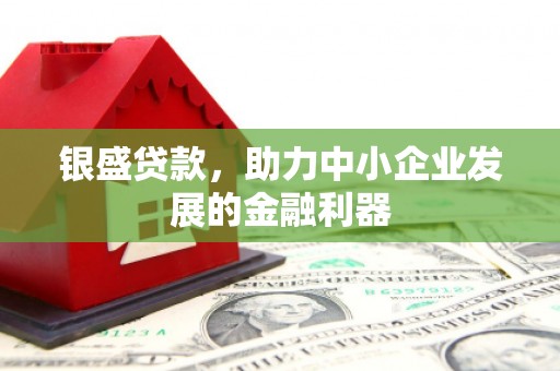 宾川银盛贷款，助力中小企业发展的金融利器