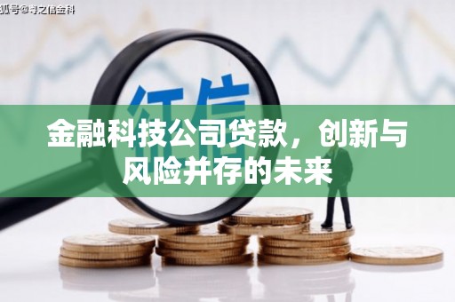 宾川金融科技公司贷款，创新与风险并存的未来