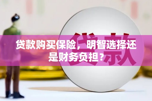 宾川贷款购买保险，明智选择还是财务负担？