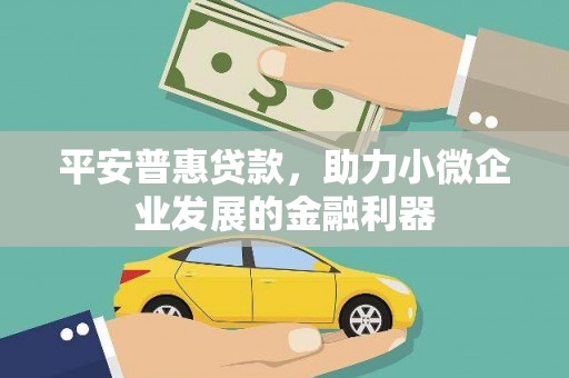 宾川平安普惠贷款，助力小微企业发展的金融利器
