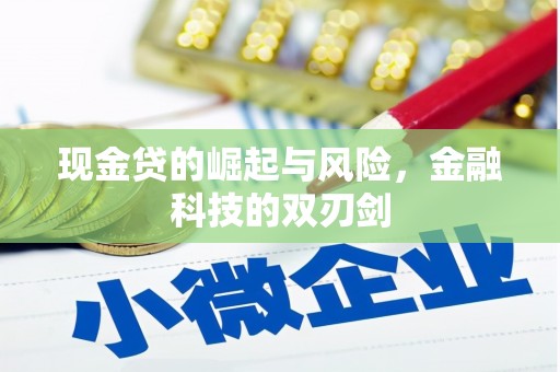 宾川现金贷的崛起与风险，金融科技的双刃剑