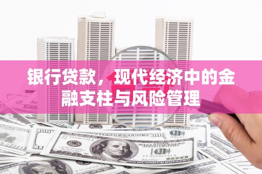 宾川银行贷款，现代经济中的金融支柱与风险管理