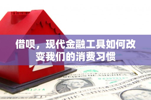 宾川借呗，现代金融工具如何改变我们的消费习惯