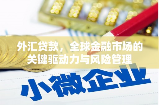 宾川外汇贷款，全球金融市场的关键驱动力与风险管理
