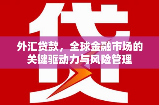 宾川外汇贷款，全球金融市场的关键驱动力与风险管理