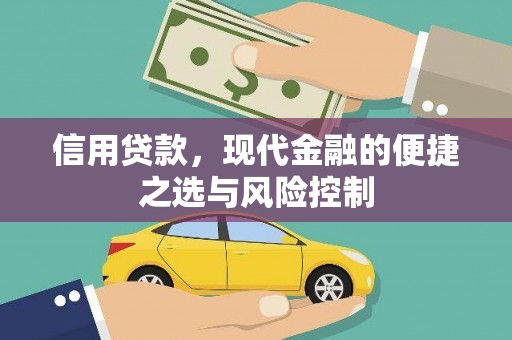 宾川信用贷款，现代金融的便捷之选与风险控制