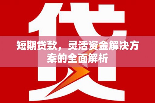 宾川短期贷款，灵活资金解决方案的全面解析