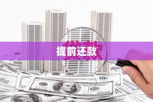 宾川提前还款