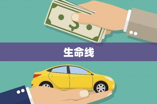 宾川生命线