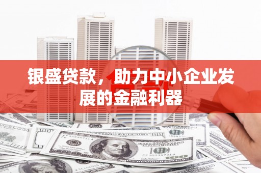 宾川银盛贷款，助力中小企业发展的金融利器