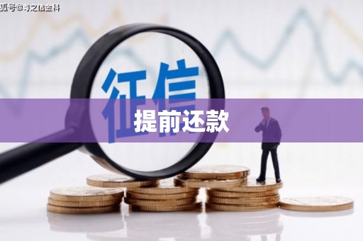 宾川提前还款