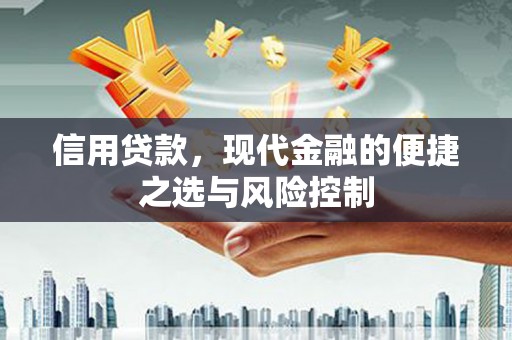 宾川信用贷款，现代金融的便捷之选与风险控制