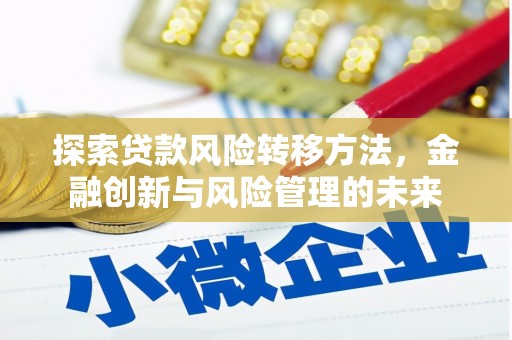 宾川探索贷款风险转移方法，金融创新与风险管理的未来