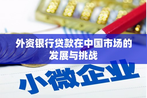 宾川外资银行贷款在中国市场的发展与挑战