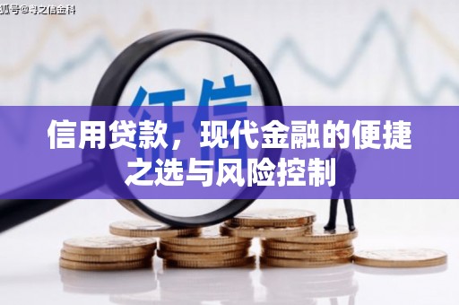 宾川信用贷款，现代金融的便捷之选与风险控制