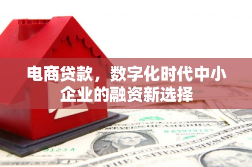 宾川电商贷款，数字化时代中小企业的融资新选择