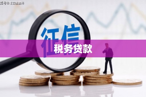 宾川税务贷款