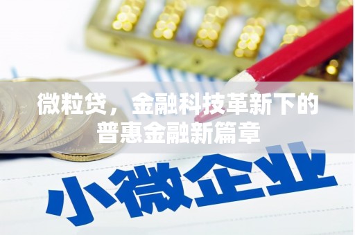 宾川微粒贷，金融科技革新下的普惠金融新篇章