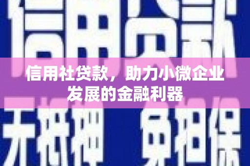 宾川信用社贷款，助力小微企业发展的金融利器